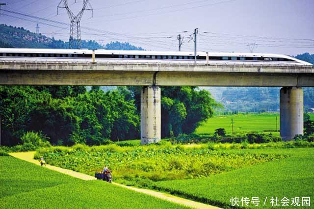 为什么大部分高速铁路都建设在高架桥上？答案万万想不到