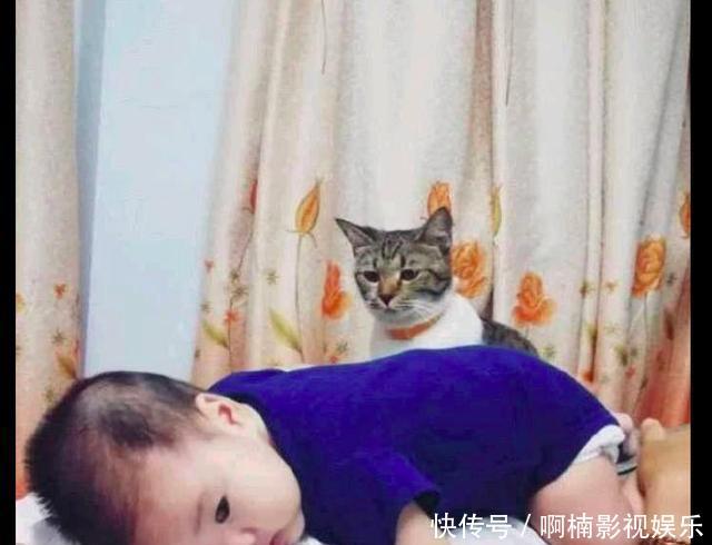 孩子正抱着猫咪图片不用聊天唯美搞笑打字的,在远处的表情网友有点a孩子:原图片