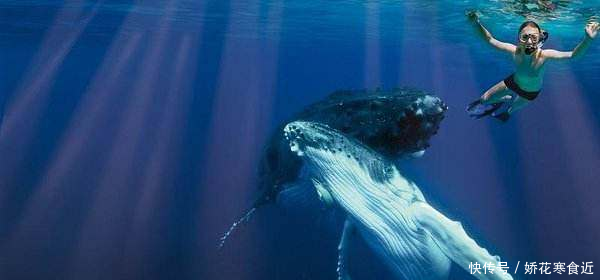 这个地方以胖为美，男士的正装是裙子，你知道是哪里吗