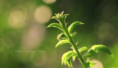 珍爱生命,穷也好,富也好,只要活着就好