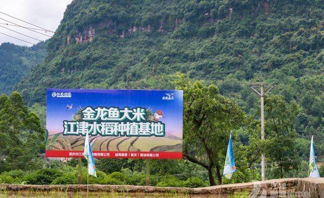 小魚缸加氧氣（小魚缸加氧氣泵一天開多久） 祥龍水族醫(yī)院