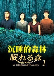沉睡的森林-在线观看-360影视
