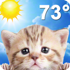 Weather Kitty