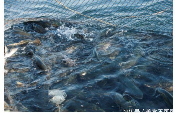 欧洲这个发达国家,紧贴着世界级的大渔场,他们