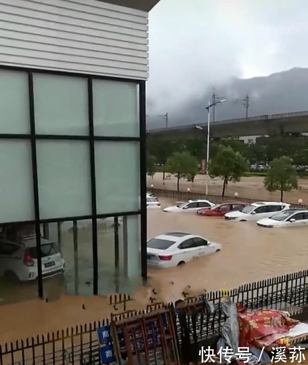 广东大雨4S店被淹, 新车变泡水车