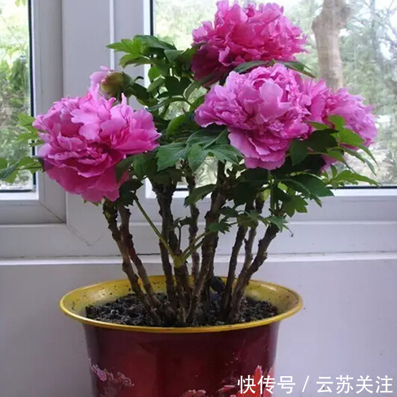 t0187261814018b09e0.jpg