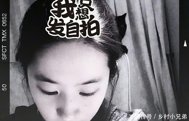 421刘亦菲圈里没人敢要,421刘亦菲什么内容