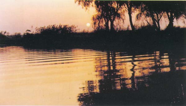 邵伯湖