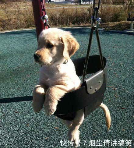 搞笑图片搞笑段子:老板,给我来一杯毒药,再来一