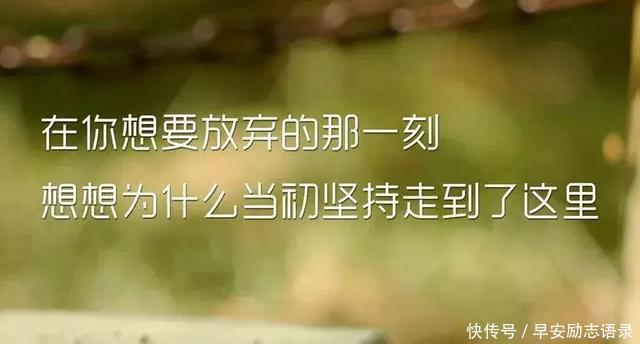 我该怎么活经典语句 t018ef0983dc8c5fc60.jpg