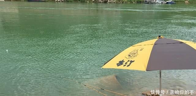 渔民钓到稀罕鲶鱼,1000元还有人抢着要,钓友