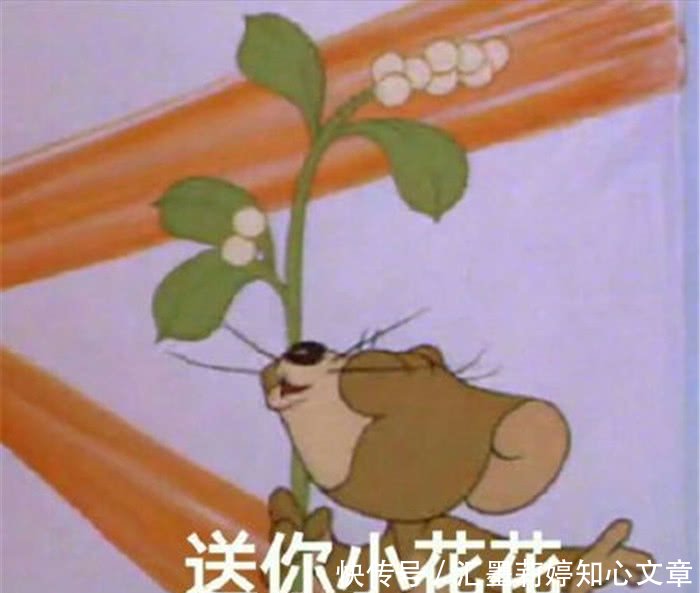 猫和老鼠系列搞笑表情:不服你顺着王者来打图片搞笑的网线图片