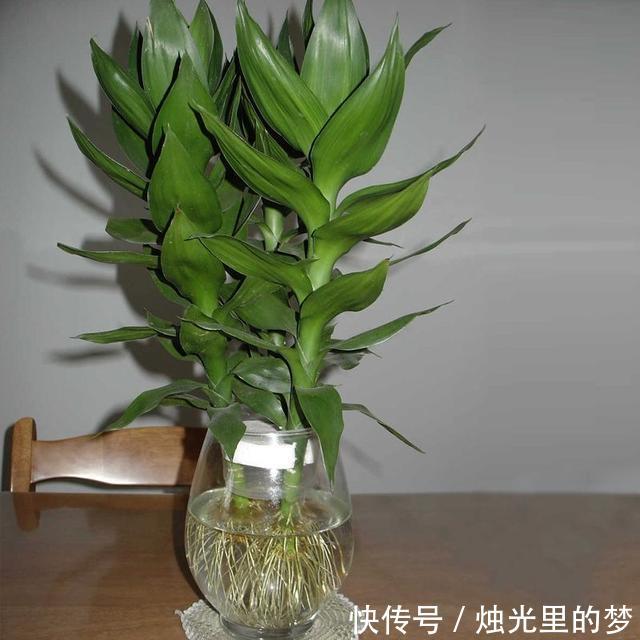 t01904db4238a25c81e.jpg