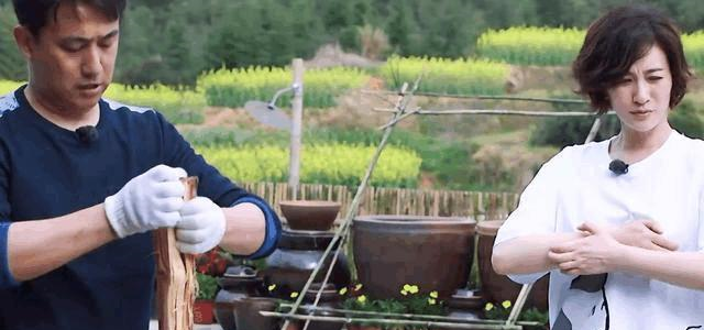 《向往的生活》李小冉享受贵宾待遇, 一件事看