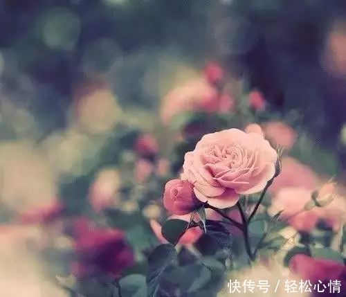 放下你就赢了!