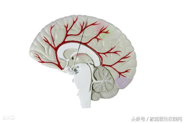 睡觉时人像踩空一样,身体突然一抖!是大脑在向你求救?