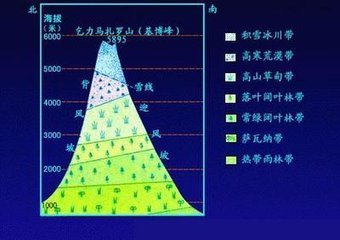 位于赤道附近的乞力马扎罗山,山脚一派热带风