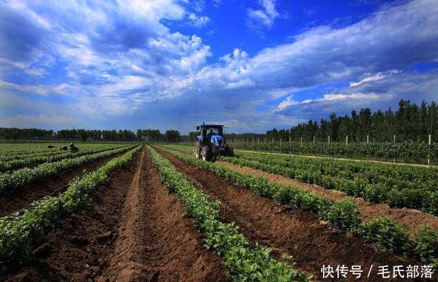 苹果树栽培技术｜现代苹果园“三节”栽培技术研究