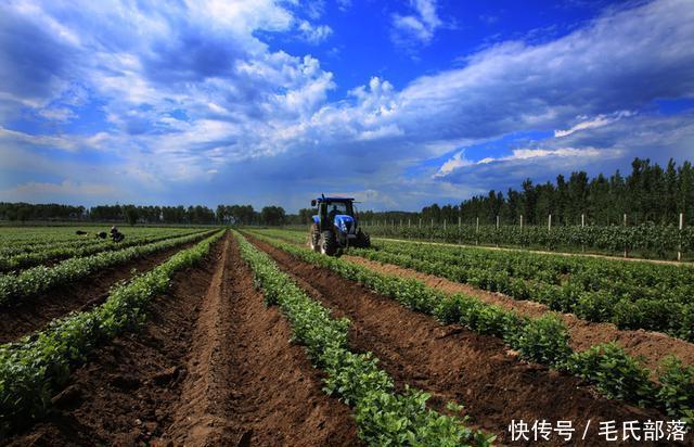 苹果树栽培技术|现代苹果园“三节”栽培技术研究