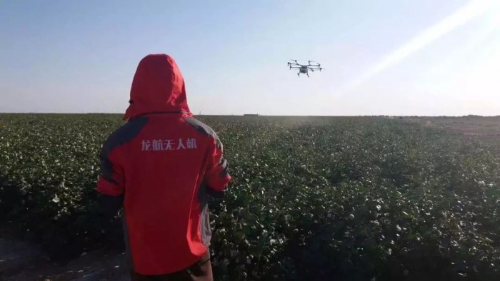 无人机创业!90后海归美女回家当农民,种地月入10万