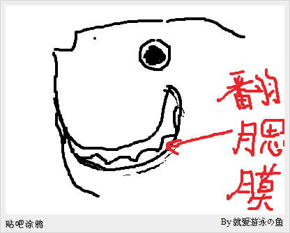 锦鲤鱼鳃盖翻过去了!鱼鳃都漏出来了_360问答