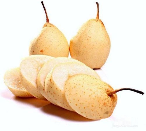 t0193d83256652da977.jpg