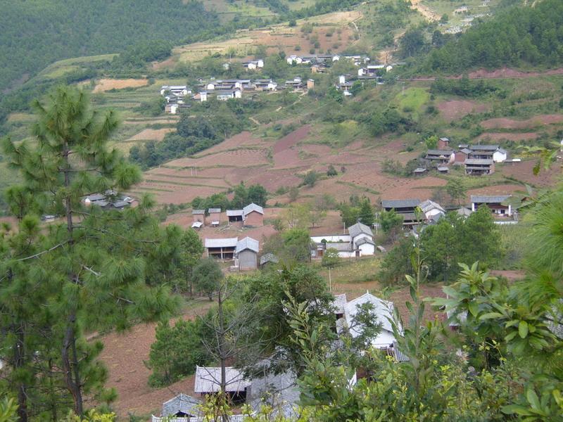 以齐母村隶属于团结彝族乡团结村民委员会,属于山区.