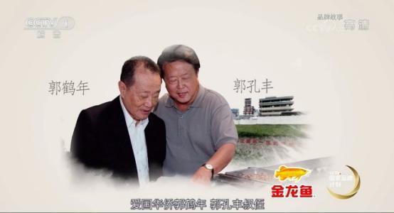 观赏鱼金龙鱼价格表（观赏的金龙鱼多少钱）