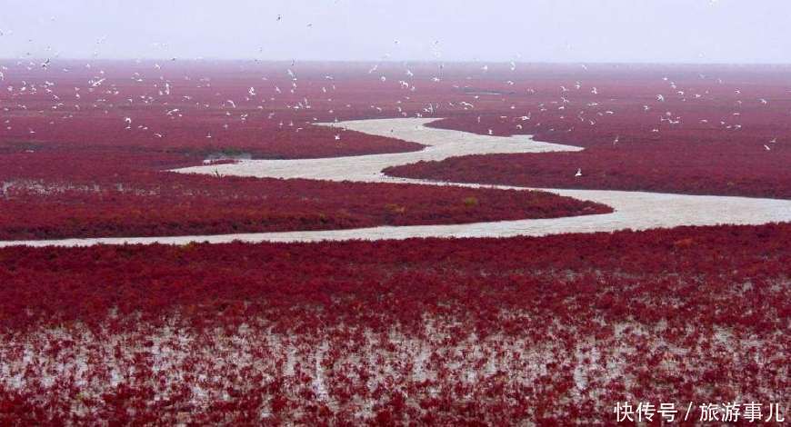 有趣的地理小知识,红黄黑绿白五色海,其中一