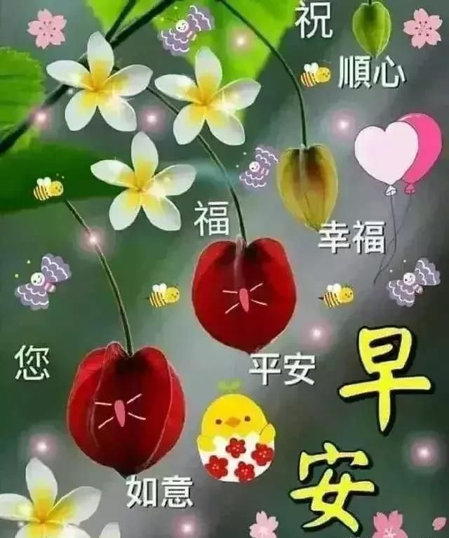 5月10日清晨祝福语漂亮表情动态表情,早上好问图动态包狗猫图片图片