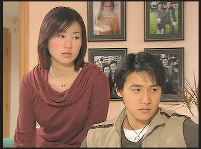 中国香港导演:李敬华编剧:陈心豪主演:陆毅,蒋虹,陈浩民,叶璇图片