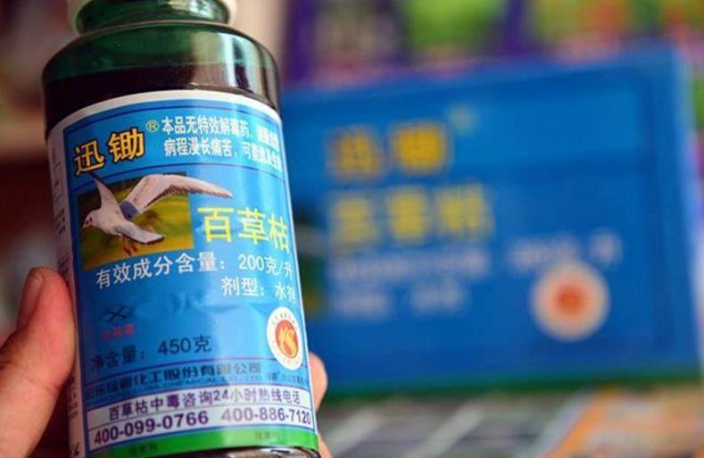 妻子把内裤浸泡百草枯,导致丈夫悲催了,妻子:知道我的厉害了吧