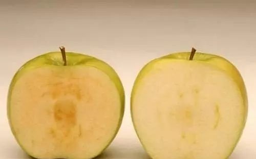 8012年了还在用苹果测抗氧化能力,你清醒一点