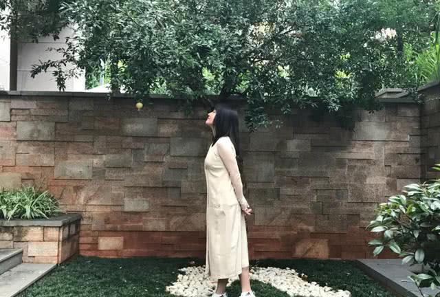 杨钰莹石榴树下凹造型意境优美，可这美照却不小心暴露了她的豪宅