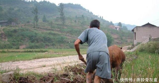 农村土地流转新政策