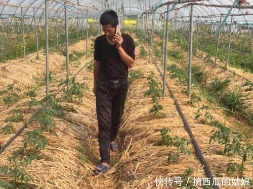 走访了100家生态小农场,成功的只有十分之一,都有这3个特点