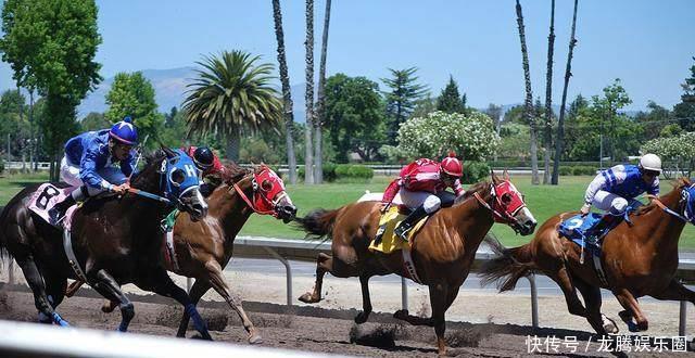 这种马奔跑速度88.5公里,全世界一共有460万匹