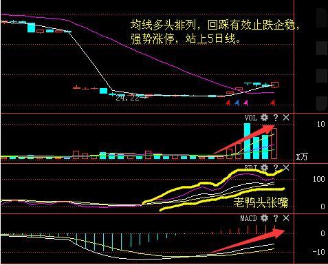 错过贵州茅台,又一军工之王崛起,主力底部锁仓
