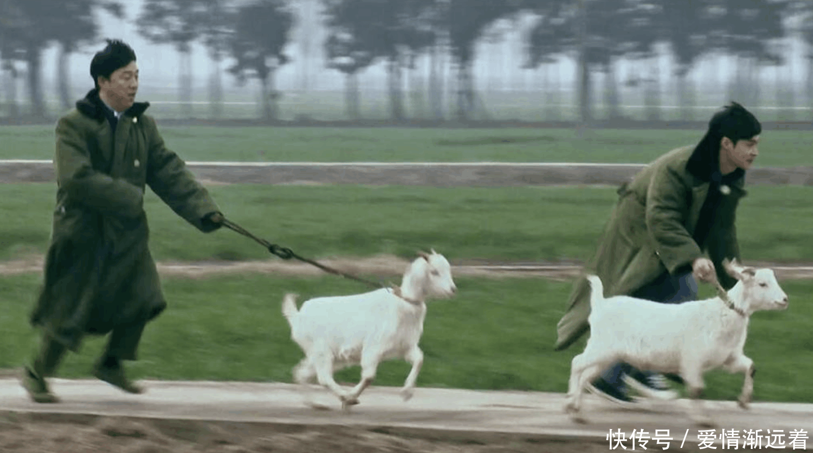 张艺兴孙红雷黄磊黄渤罗志祥,极限兄弟军大衣