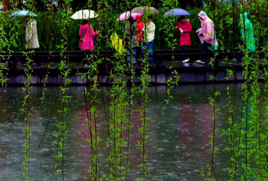 春雨绵绵似江南 新的一周全省天气将由多云转雨