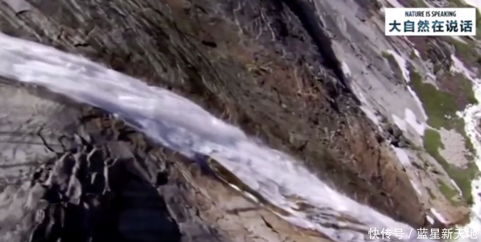 t019f749bfdc7009759.jpg?size=972x490