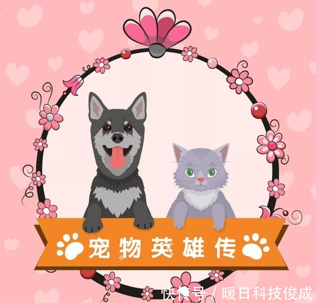 怎么让心情马上变好 t019fe1cdd5d9b35563.jpg
