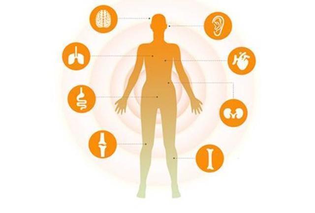 科学界最尖端的125个谜团, 诺贝尔奖在等待它们