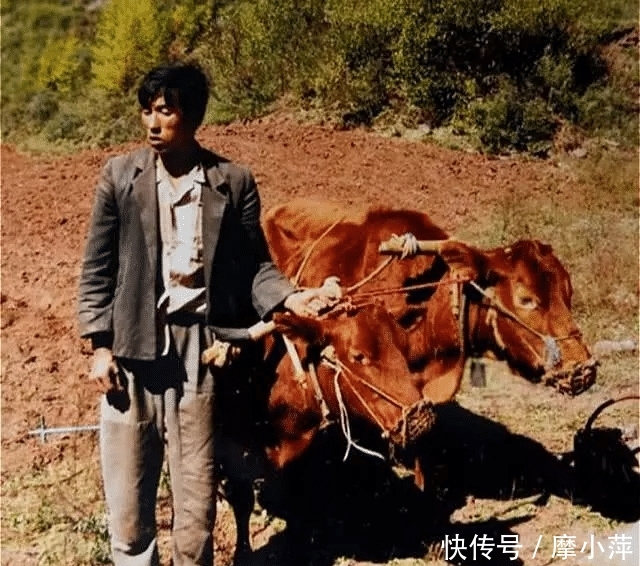 一件千年国宝,专家3次否定,此人用50块钱买下,如今价值过亿 凯时娱乐app官网