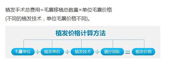 <em>种植头发</em>多少钱_360问答