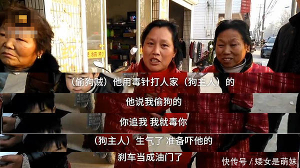 嚣张偷狗贼毒死两狗,拿毒针与狗主人对峙,被车撞死