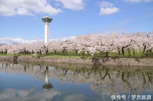 日本网友票选：日本绝景樱花胜地排行榜TOP5！