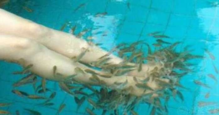 女子一年不洗脚, 闺蜜看不下去带她做鱼疗, 店主