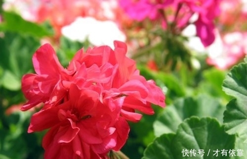 t01a60ff6d76f58a158.jpg