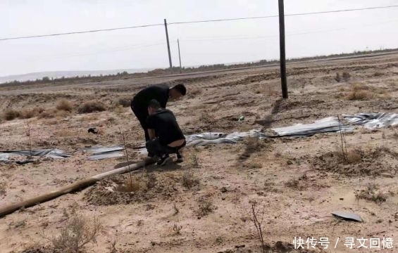 适合残疾人的工作